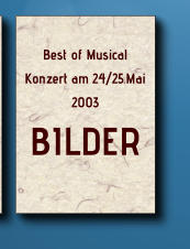 Best of Musical Konzert am 24/25.Mai 2003 BILDER